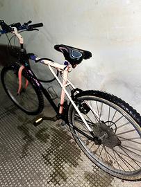 Bianchi Ragno Vintage - Telaio Iconico Anni '90