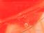 Immagine 8