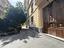 Immagine 15
