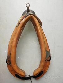 collare cavallo 