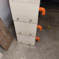 Soffiasemi x pappagalli