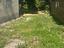 Immagine 25