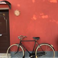 Bici da viaggio uomo  probabile Artar