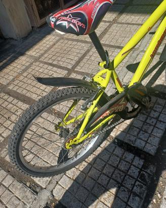 bicicletta n.20