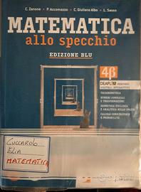 libri di matematica triennio 