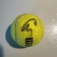 Pallina da tennis autografata da Alexander Bublik