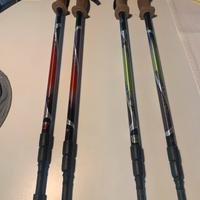 Bastoncini trekking telescopici