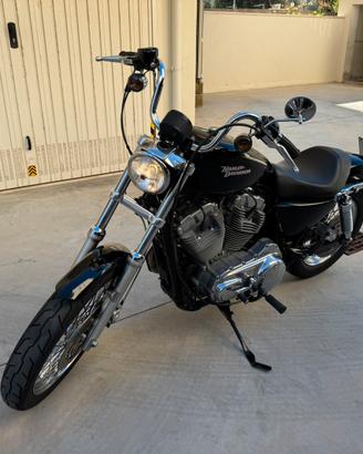 Harley sportster 883