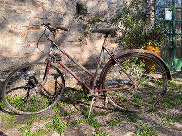 Bicicletta Triumph