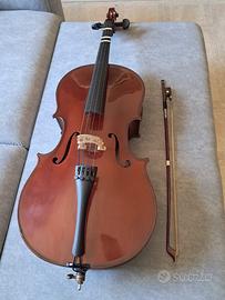 Violoncello