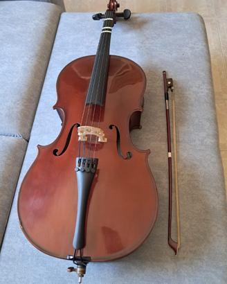 Violoncello