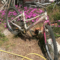 Mountainbike mis 24 completa