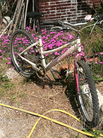 Mountainbike mis 24 completa