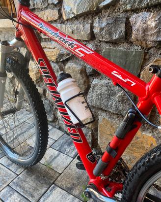Coppia bici specialized