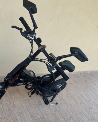 Bicicletta elettrica