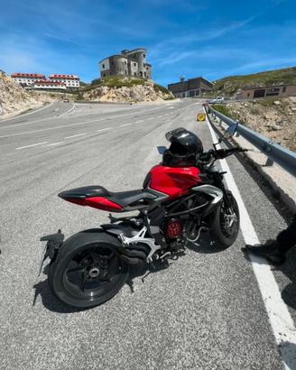 MV Agusta brutale 800 2016
