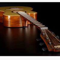 chitarra elottroacustica mancina