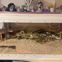 Teca per piccoli animali