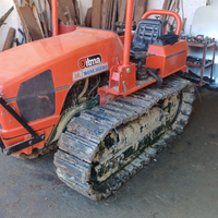 Cingolo itma goldonI