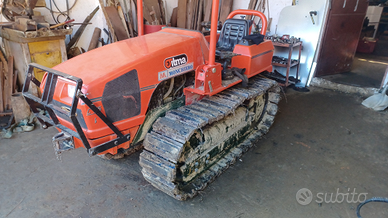 Cingolo itma goldonI