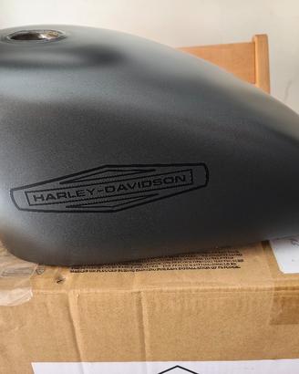 carrozzeria Harley Davidson sportster 