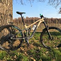 Bicicletta down hill Enduro Cube