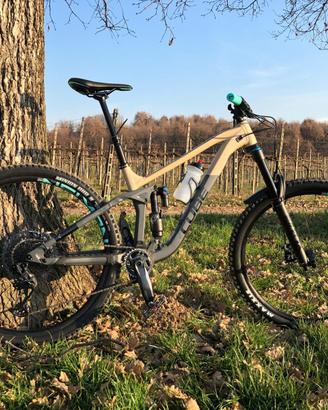 Bicicletta down hill Enduro Cube