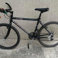 bici Mountain bike Botecchia