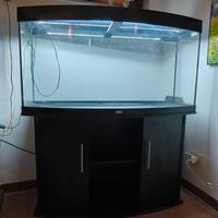 acquario juwel vision 260