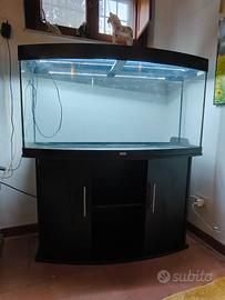 acquario juwel vision 260