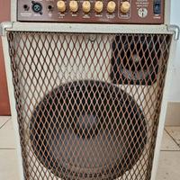 california blonde swr amplificatore 
