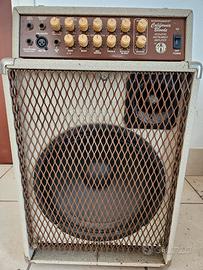 california blonde swr amplificatore 