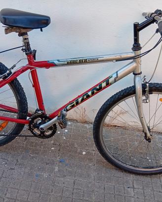 bici uomo 25