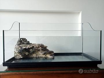 acquario tartarughe 