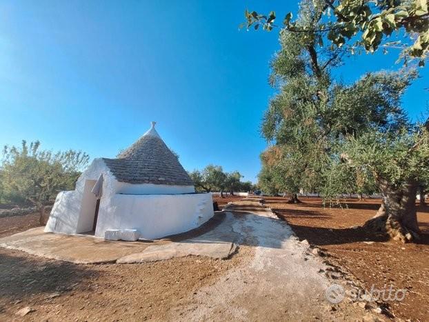 CEGLIE MESSAPICA trullo e terreno