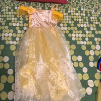 Vestito di carnevale