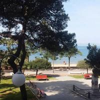 Centralissima 2 passi dal mare