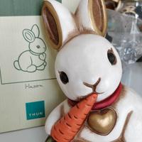 Thun coniglio con carota