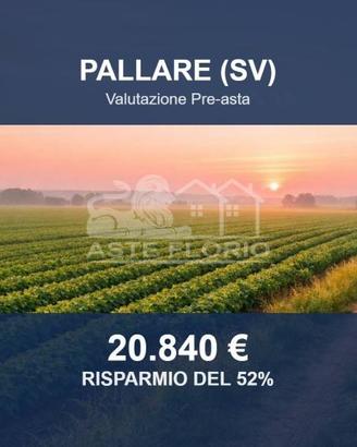 Immobile in asta di 39480 m² a Pallare