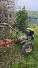 Motozappa con carrello trazionato