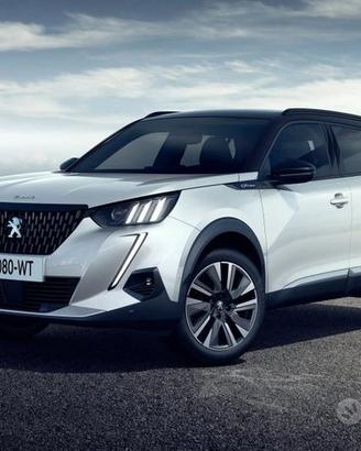 Ricambi usati peugeot 2008 3008 208 308 2010 2020