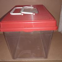 acquario vaschetta pesce rosso 