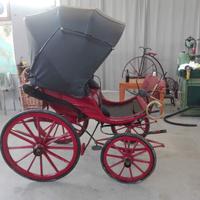 Carrozza Dottorina