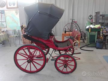 Carrozza Dottorina