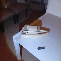 barca artigianale in legno