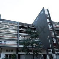 Commerciale Altro - Trani