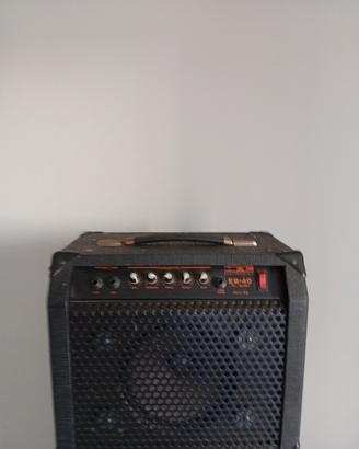amplificatore per basso e chitarra 