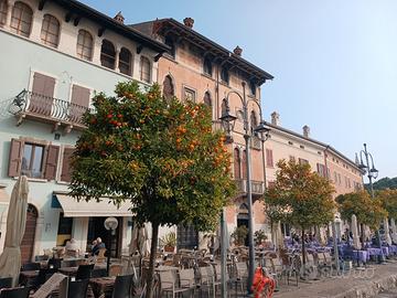 Negozio / ufficio in zona di forte passaggio