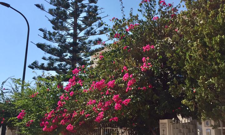 San Vito lo capo "appartamenti in villa "