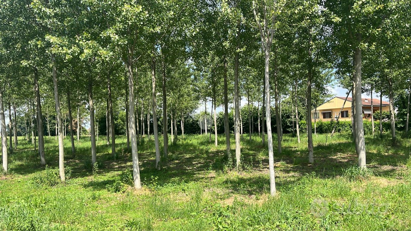 TER. RESIDENZIALE A BOFFALORA SOPRA TICINO - Vista 5